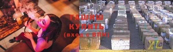 шишки Новозыбков
