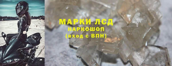 шишки Новозыбков