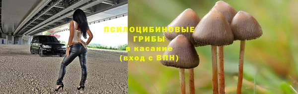 мдма Новодвинск