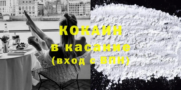шишки Новозыбков