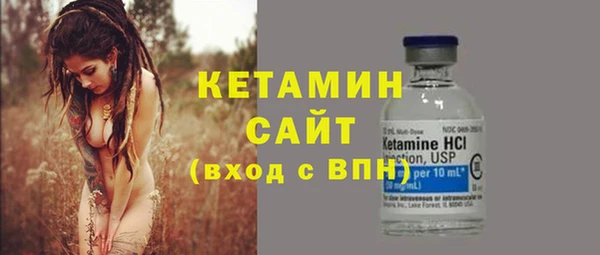 шишки Новозыбков
