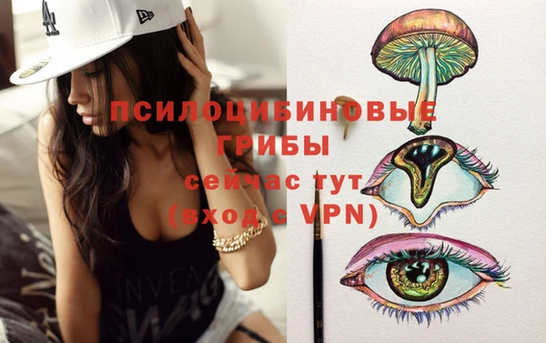 mdpv Новокубанск