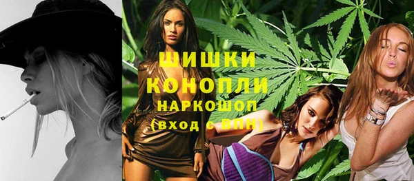 шишки Новозыбков