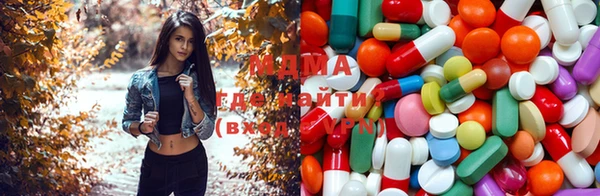 шишки Новозыбков