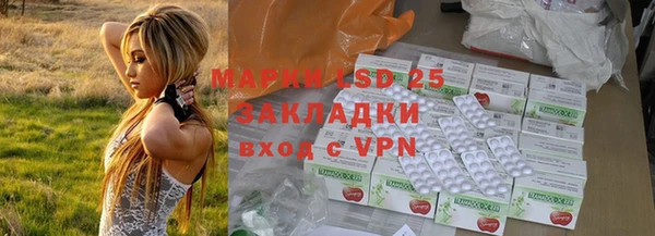 PSILOCYBIN Нея